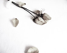 Example of my Photography