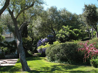 Mallorca es así también: 10/05/09 - 17/05/09