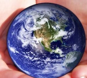 What is the best way to fight climate change? | Ecological Problems