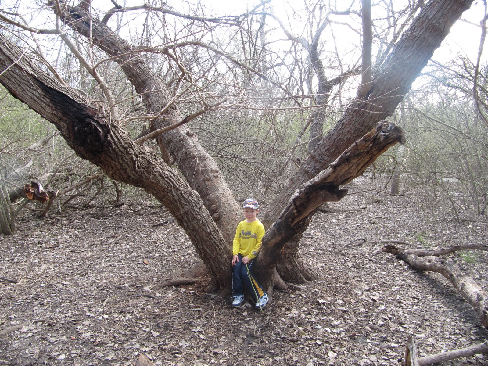 [IMG_2301.JPG]