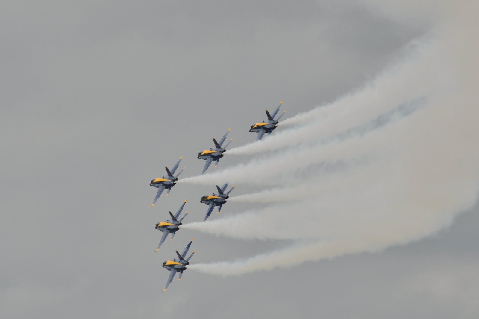 [DSC_9052.JPG]