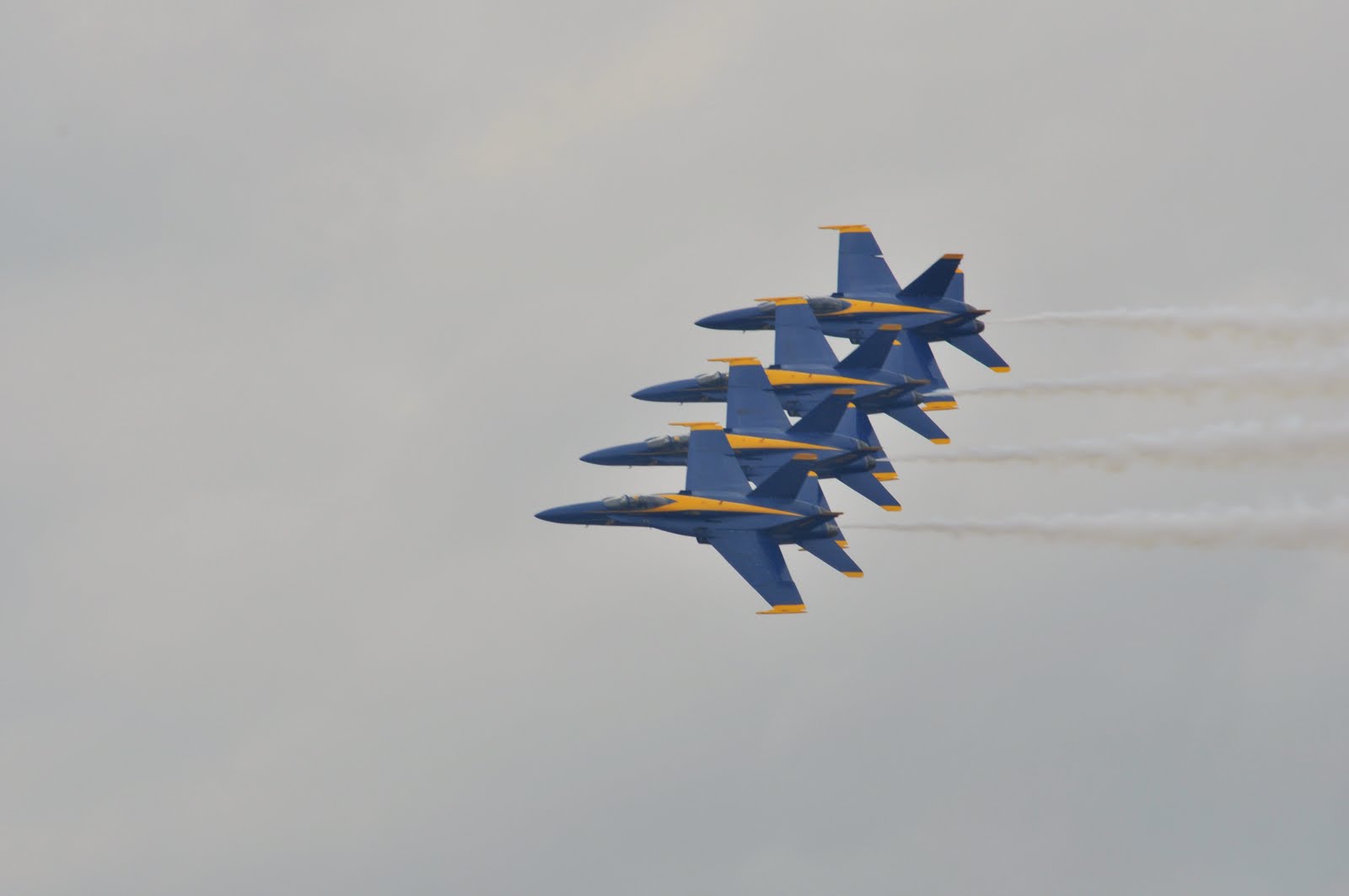 [DSC_8532a.jpg]