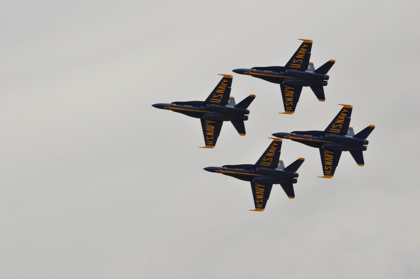 [DSC_8598.JPG]
