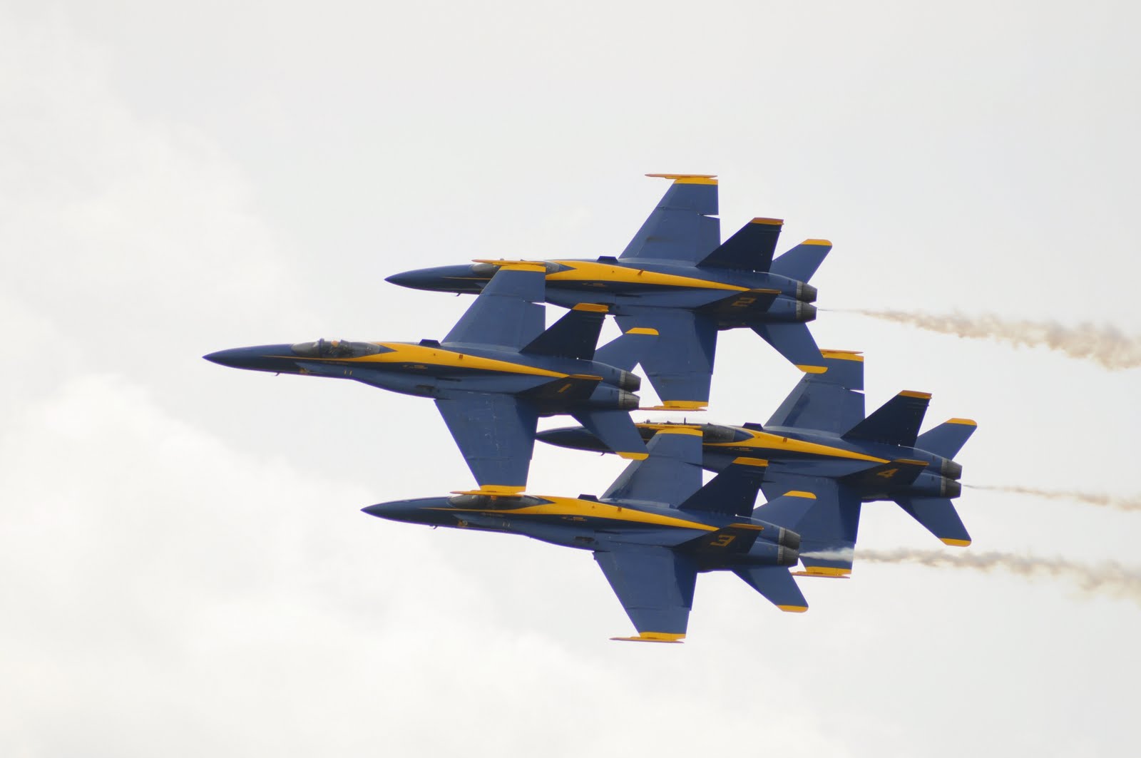 [DSC_8229.JPG]
