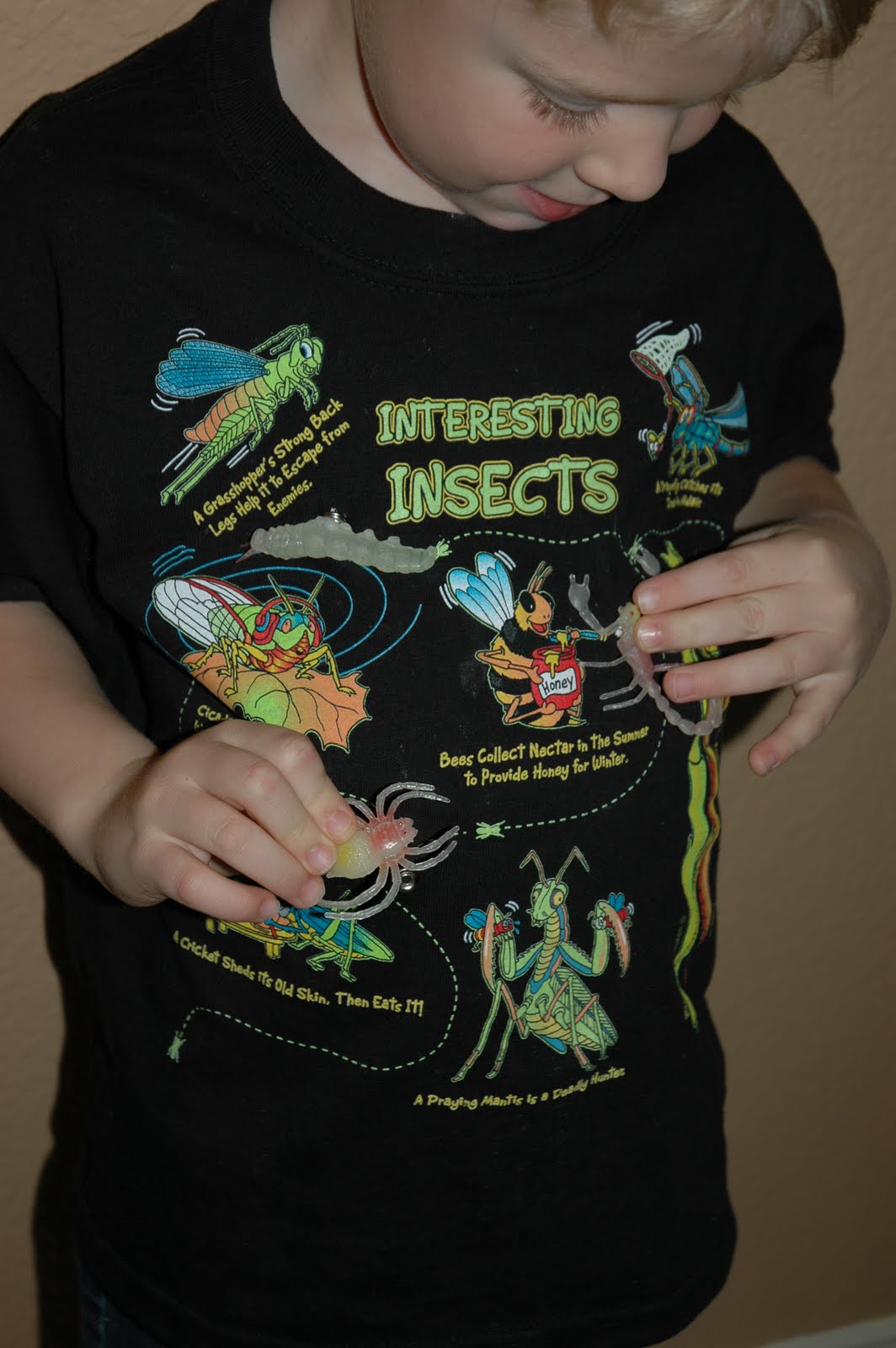 Bug shirt cheap
