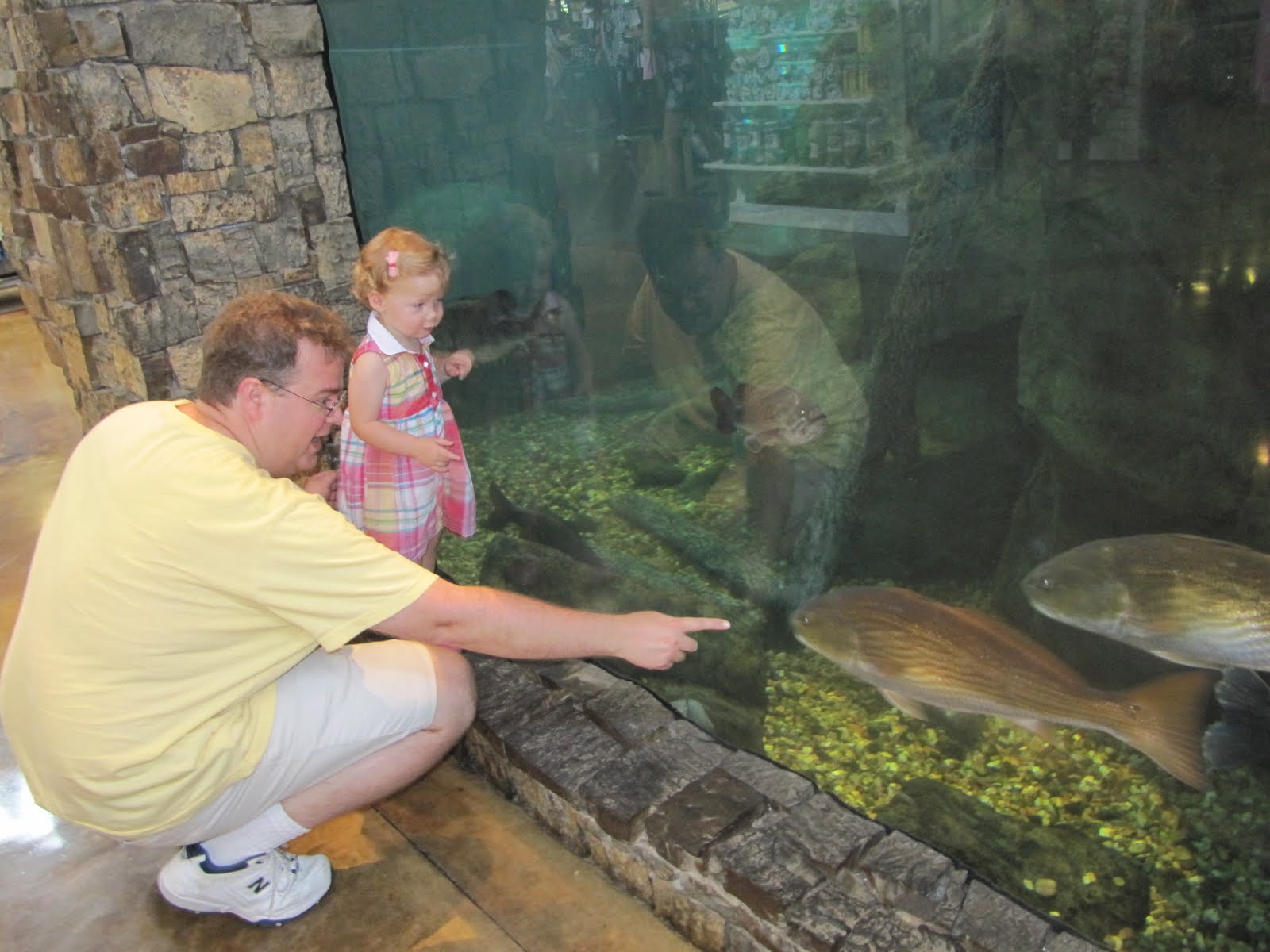 Family Summer Camp At Bass Pro Shops Kids Activities Blog