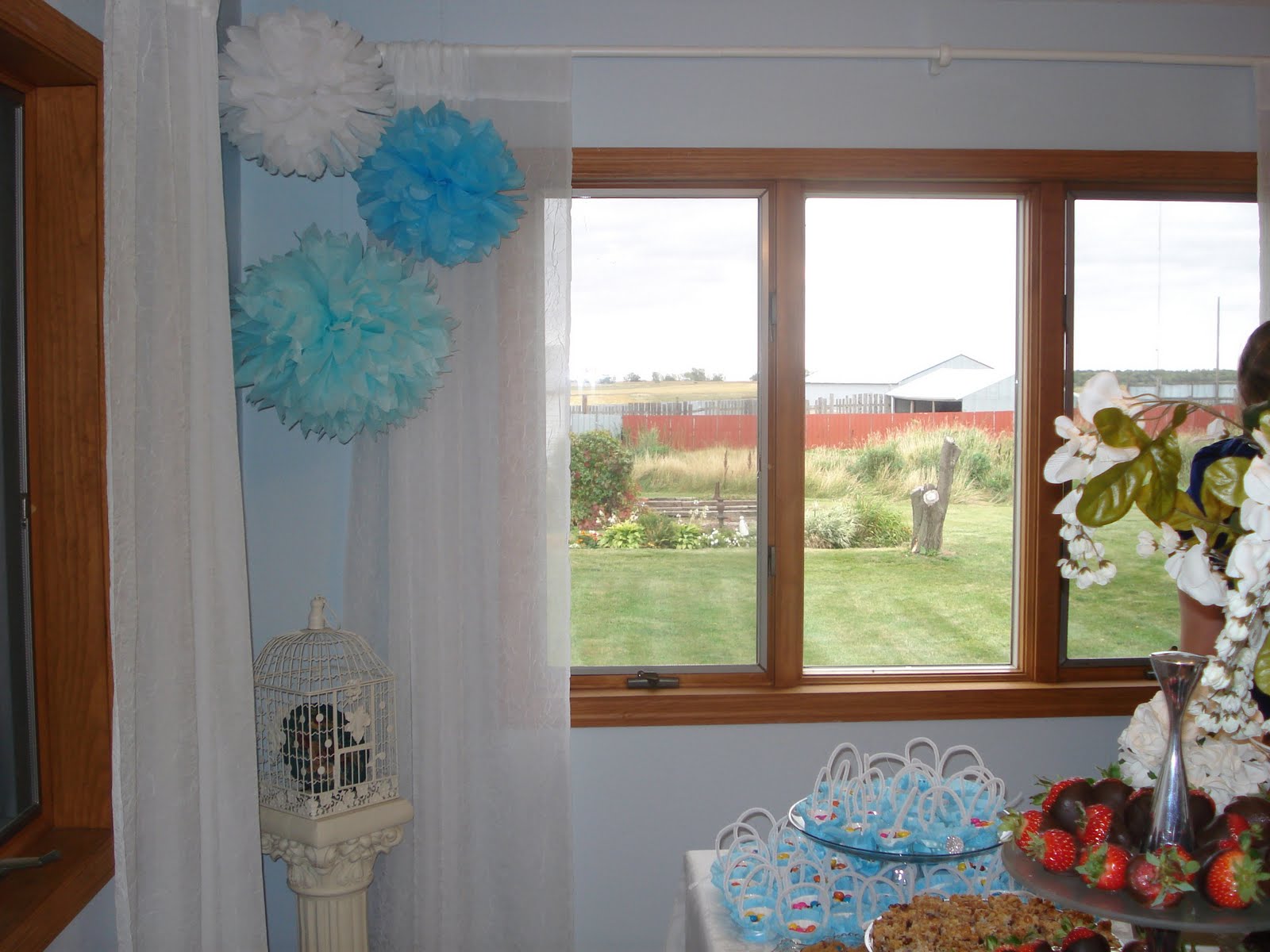 [birthday+puffs+3.JPG]