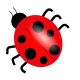 [ladybug_01.png]