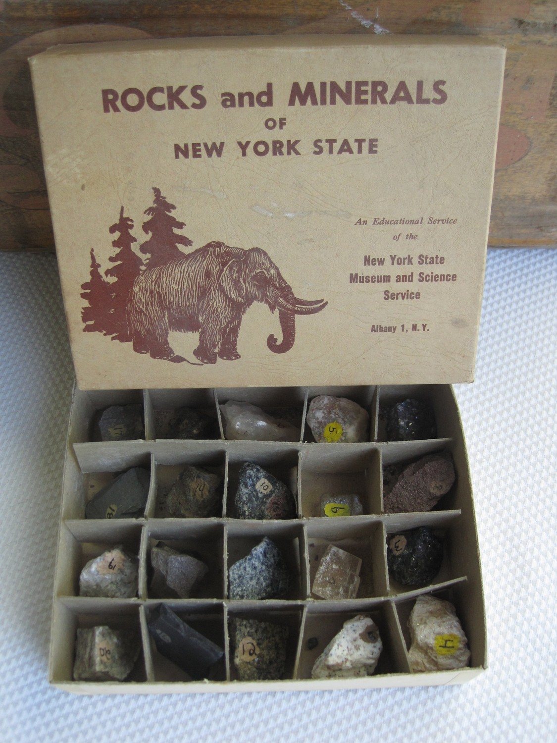 carly waito ROCKS and MINERALS OF NEW YORK STATE