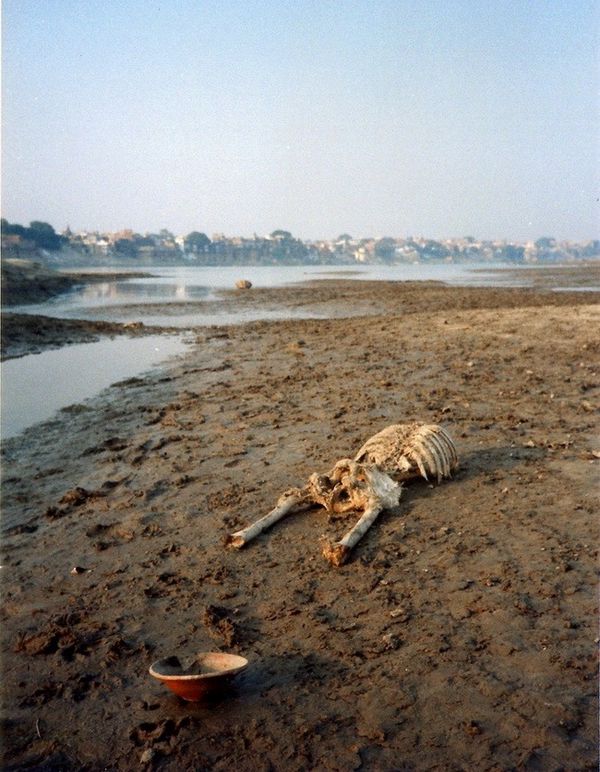 Leichen Im Ganges