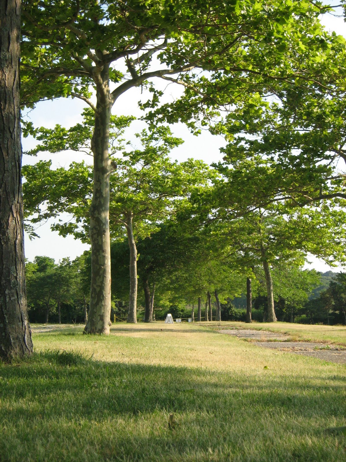 The Long Island Frugalist Governor Alfred E. Smith/Sunken Meadow State Park