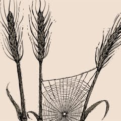 Catcher in the rye theme essay