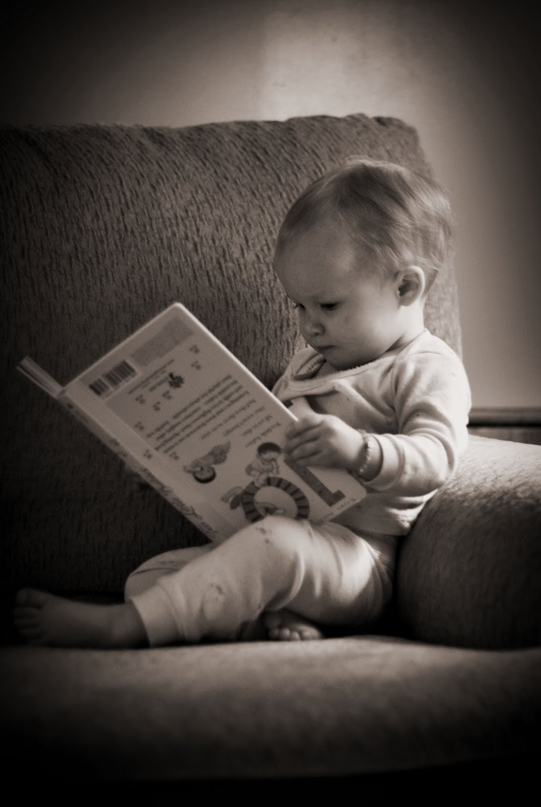 [IMG_2744brownie.jpg]