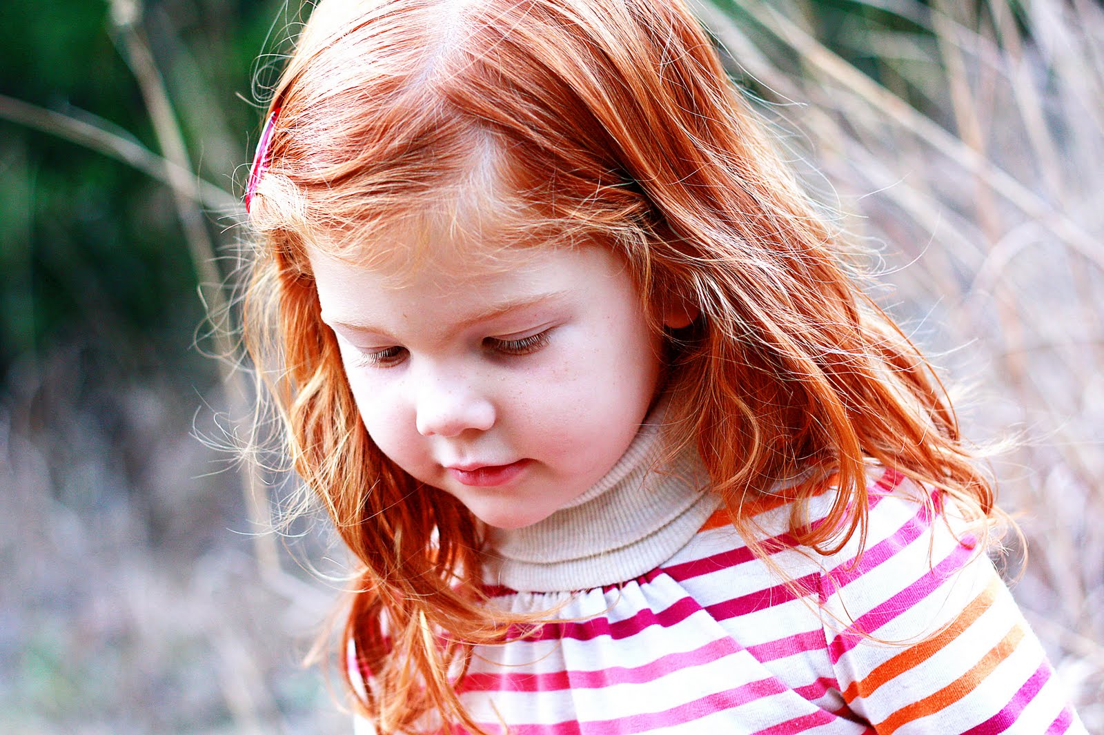 [IMG_8137colorful.jpg]