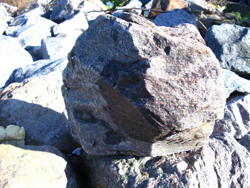 [IMG_3317.JPG]