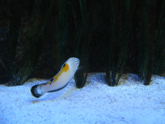 [IMG_4316.JPG]