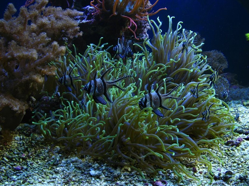 [IMG_4424.JPG]
