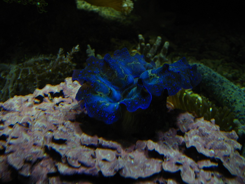 [IMG_4441.JPG]