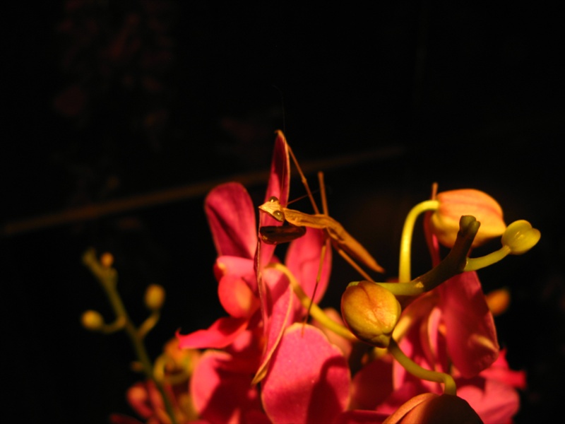 [IMG_4469.JPG]