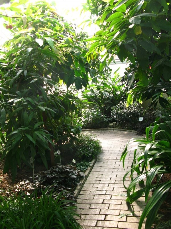 [IMG_4536.JPG]