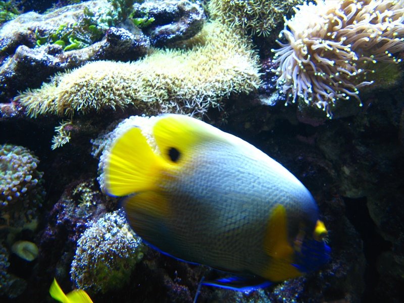 [IMG_4638.JPG]