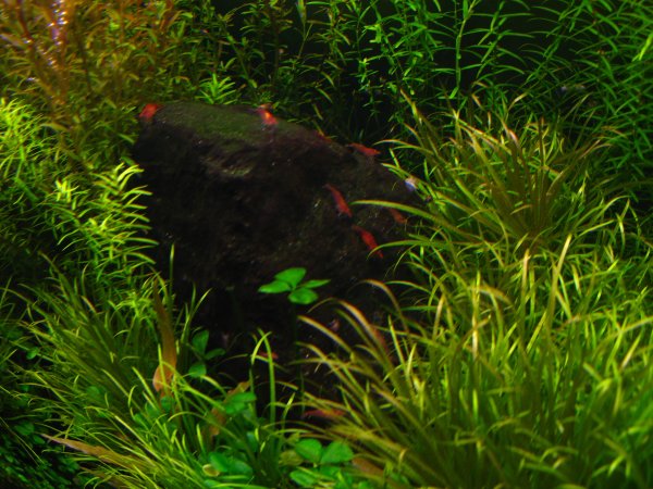 [IMG_4841sss.JPG]
