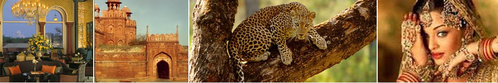 la mia vita è il mio messaggio