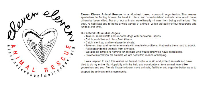 Eleven Eleven Animal Rescue
