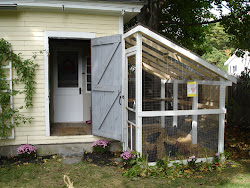 chicken coop lean shed chickens inspiration run plans attached garage sheds area coops outdoor designs sopo wood storage side