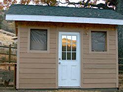 coop chicken update homestead