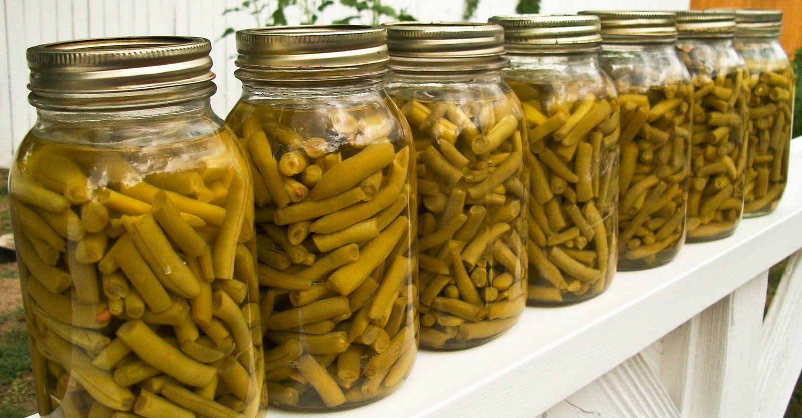 canned green bean recipes with bacon canned green bean recipes with bacon