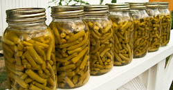 beans canned canning recipes bean string