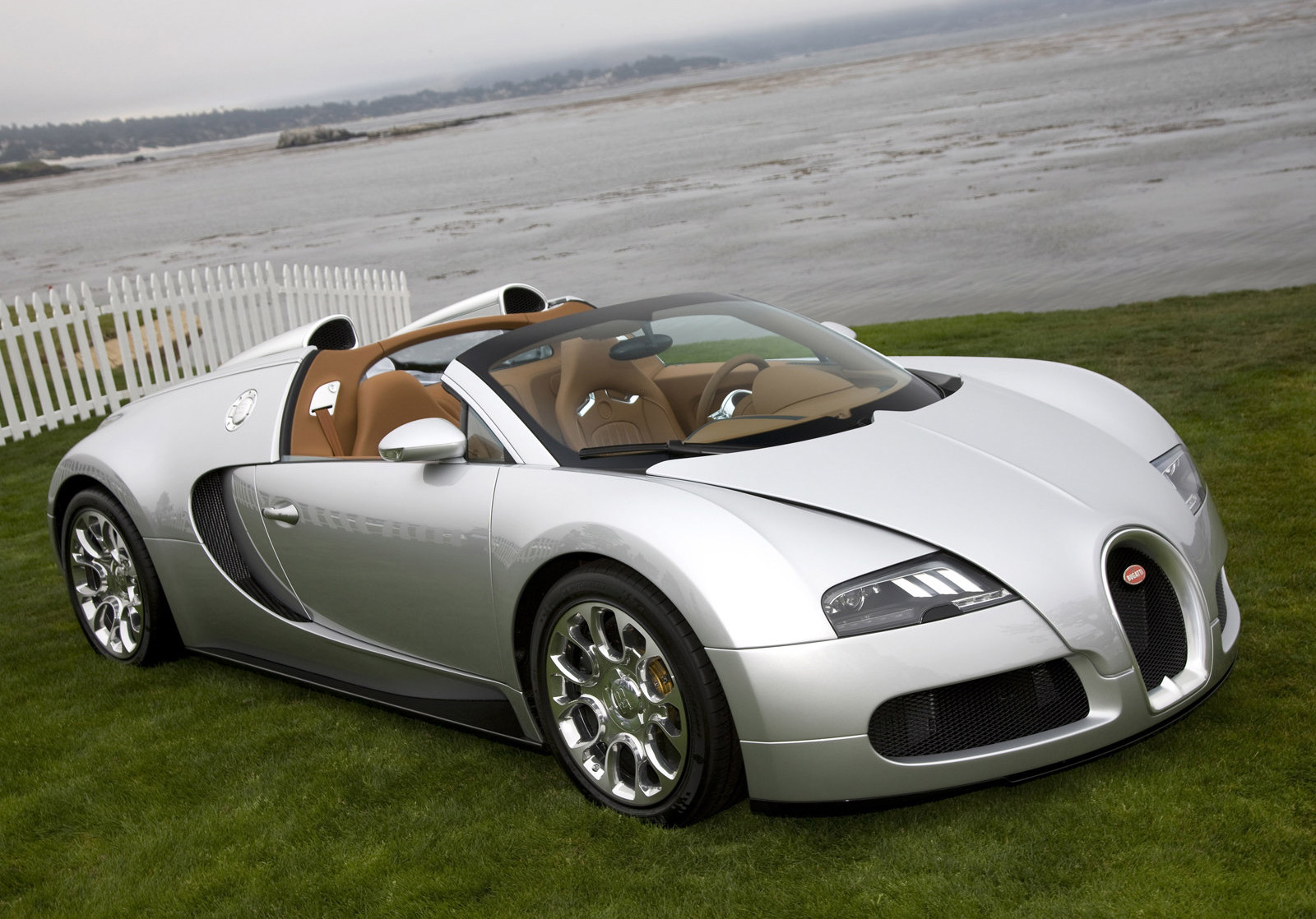 2011 Bugatti Veyron 16 4 Grand Sport Limited Edition