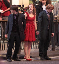 hermione deathly hallows granger bill fleur harry potter dresses fanpop