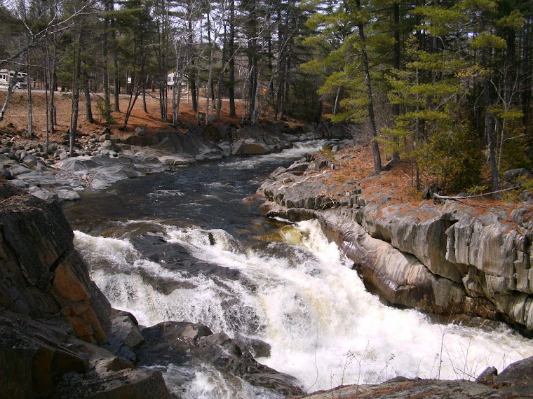 beautiful water way in Maine