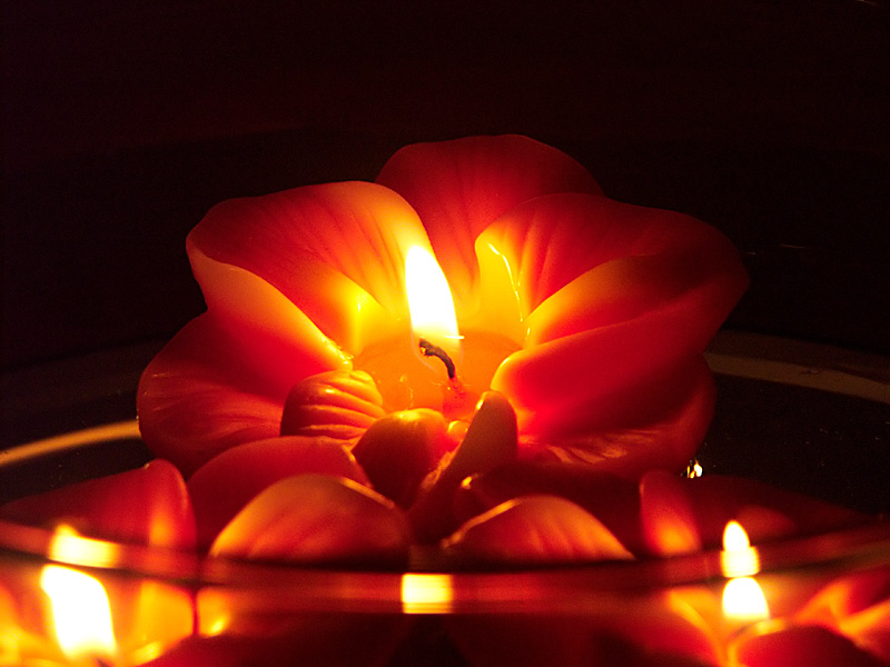 [flower+fire.jpg]
