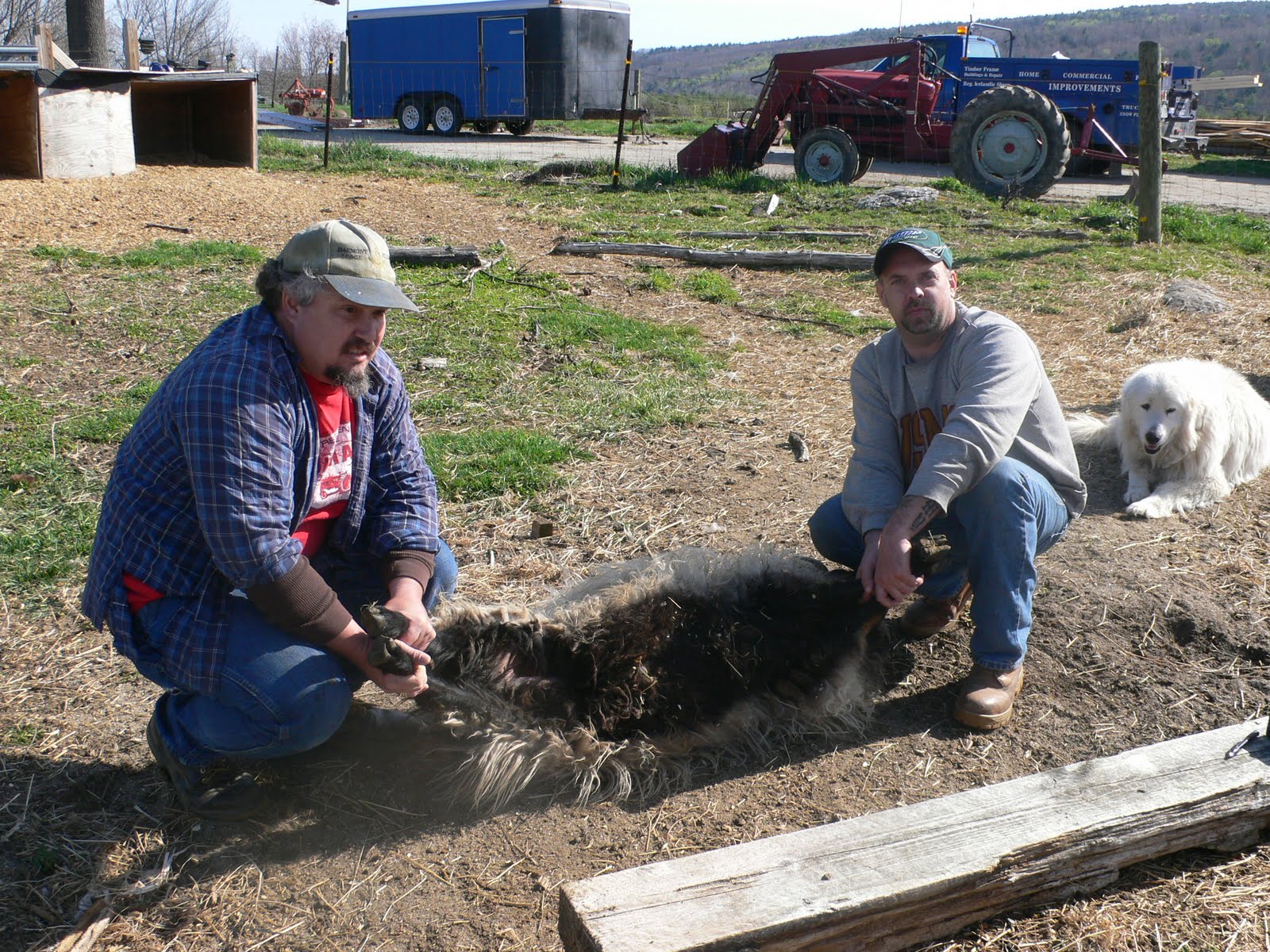 Ewe & I Farm NH Sheep & Wool festival is in 11 days!!!
