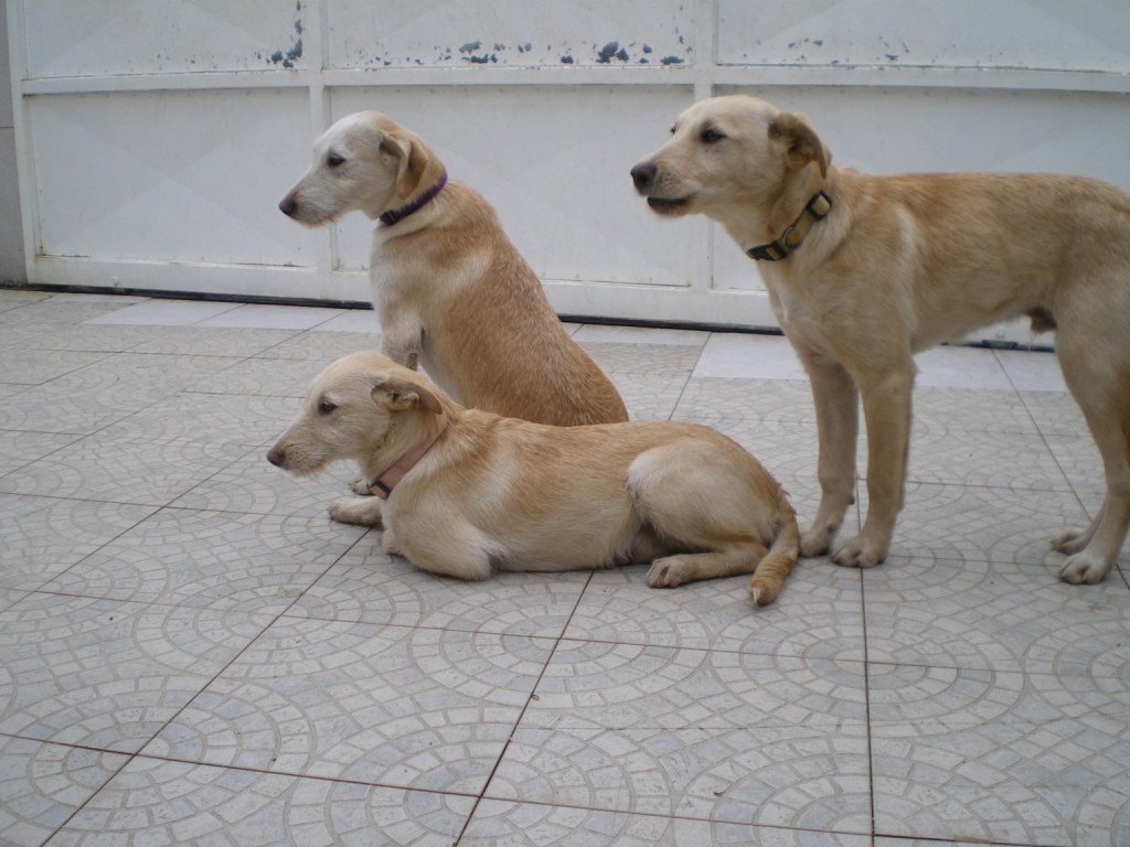 [IMGP3035.JPG]
