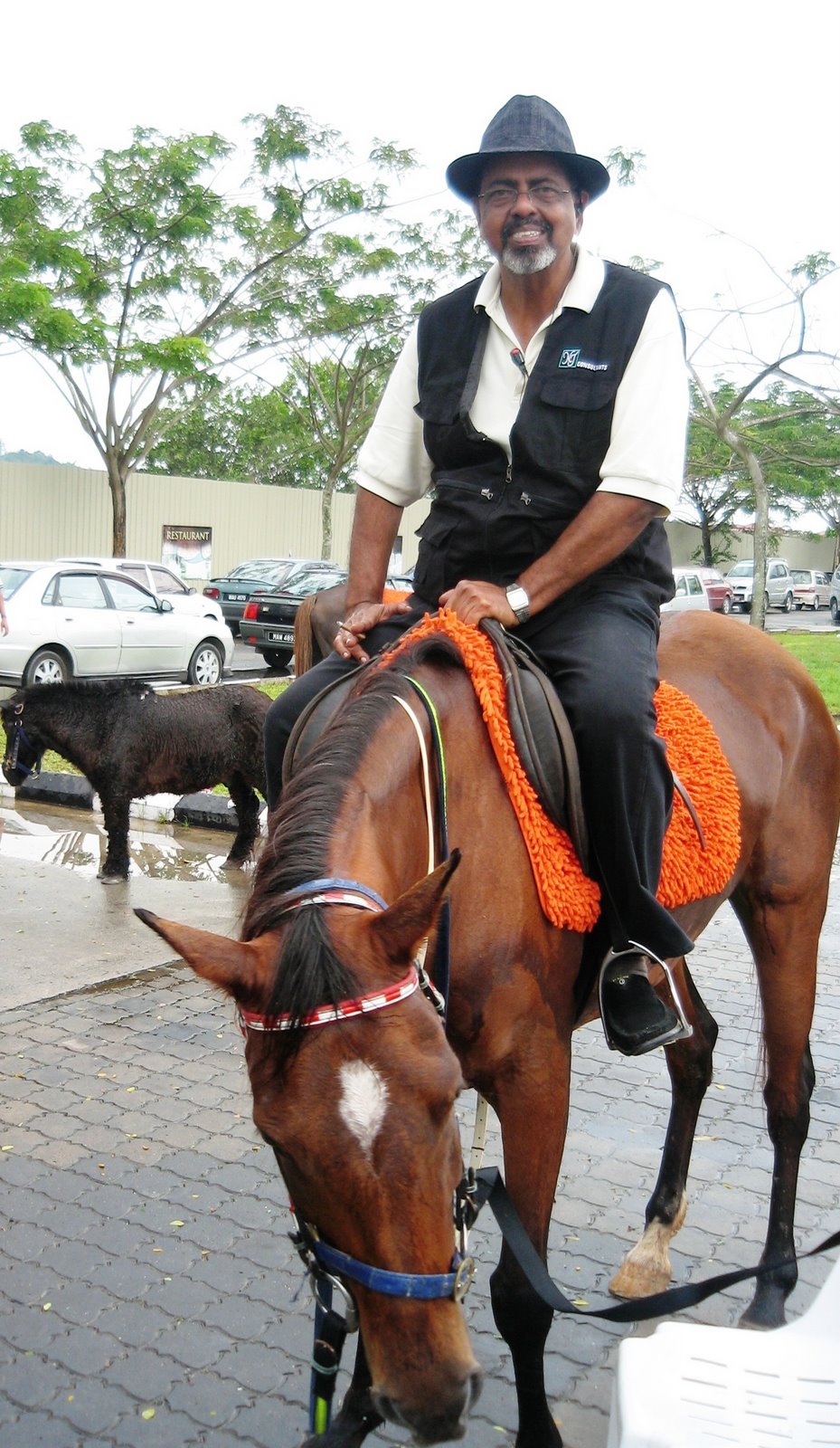 HORSE RIDING ANYONE?