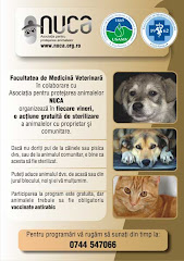 Asociatia pentru protejarea animalelor