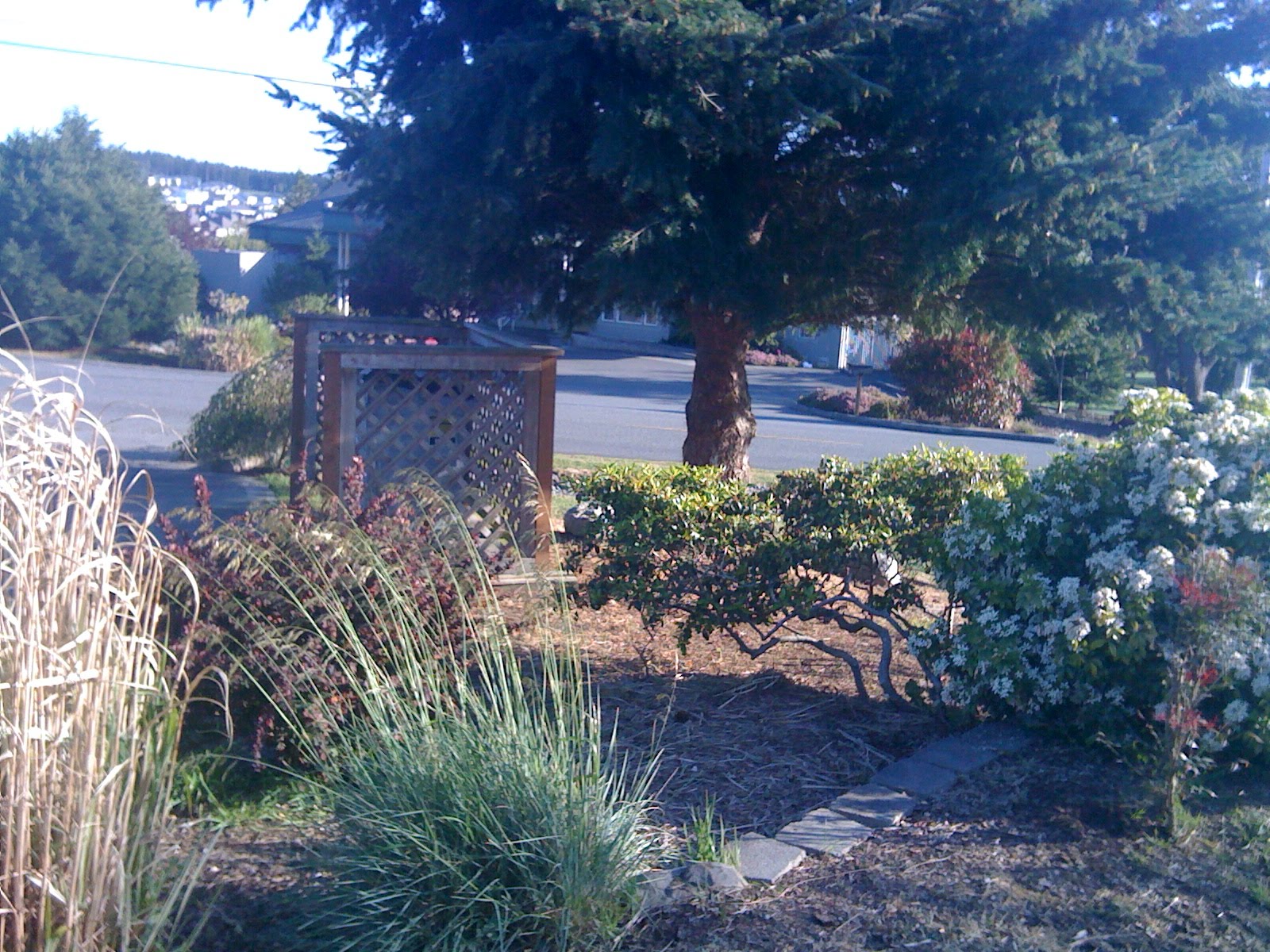 Unique Whidbey Island Home For Sale By Owners