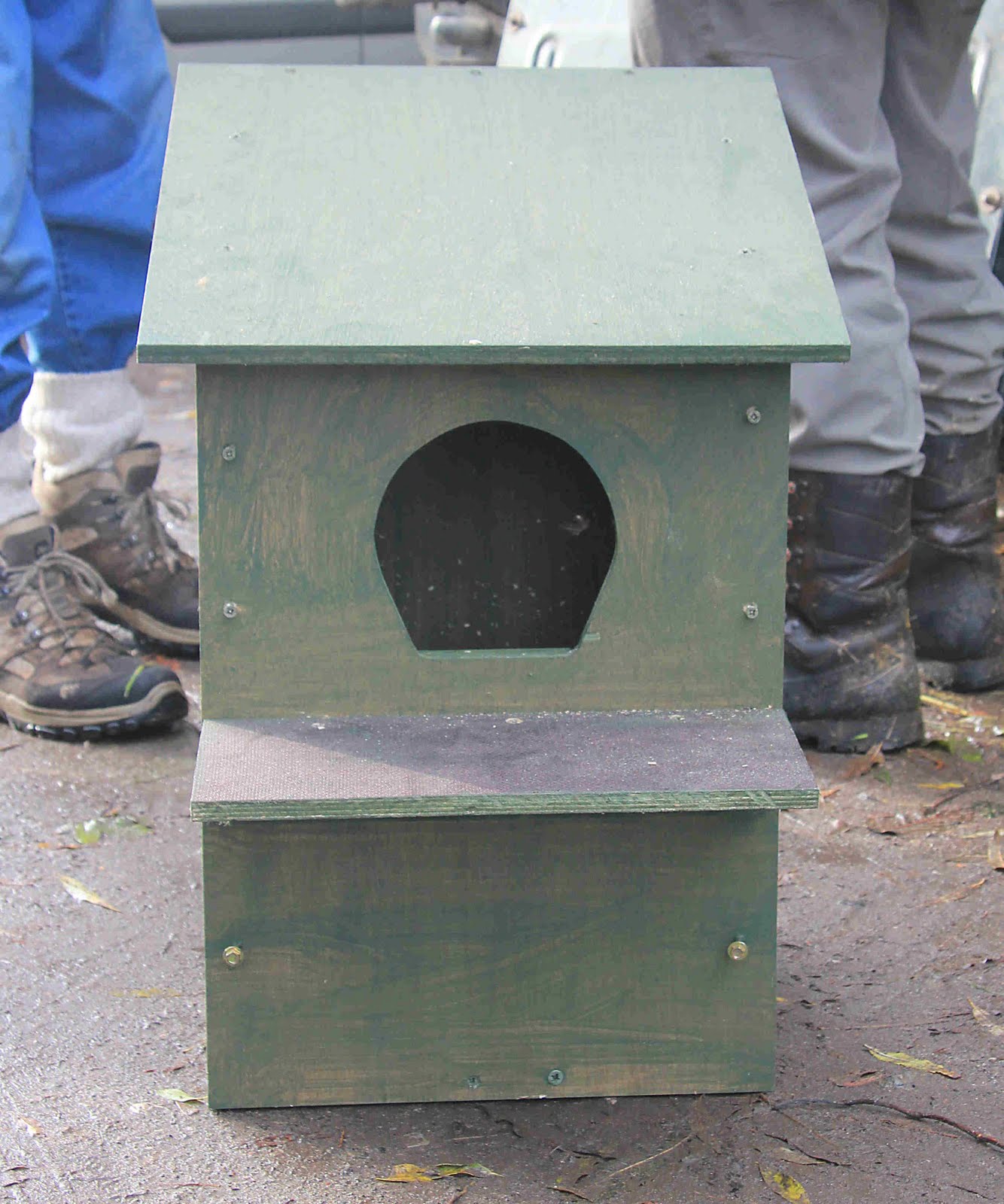 Friends of Chorlton Meadows Owl Boxes on Ivy Green