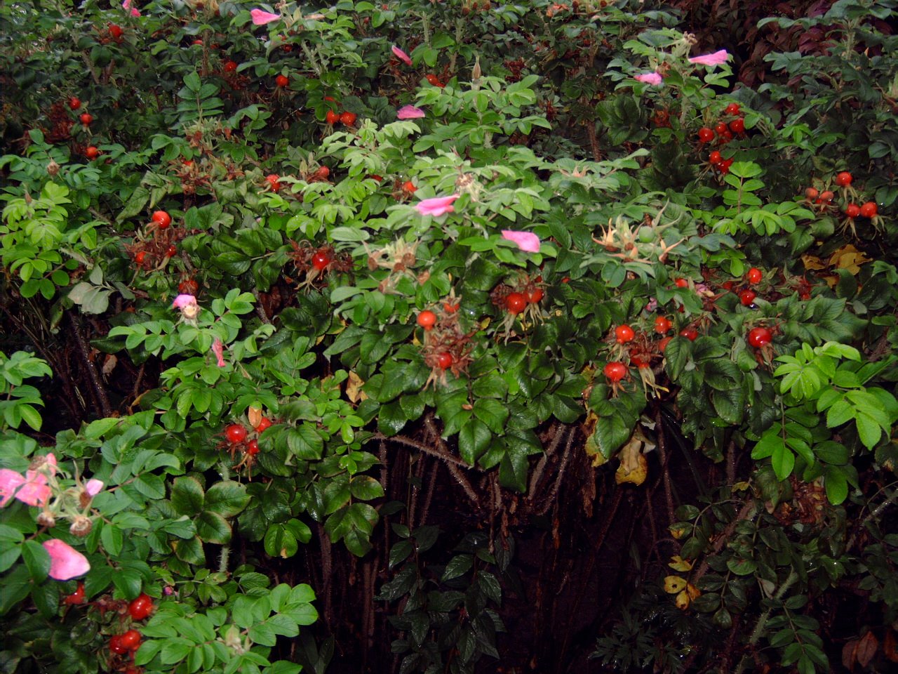 [090908+017.jpg]