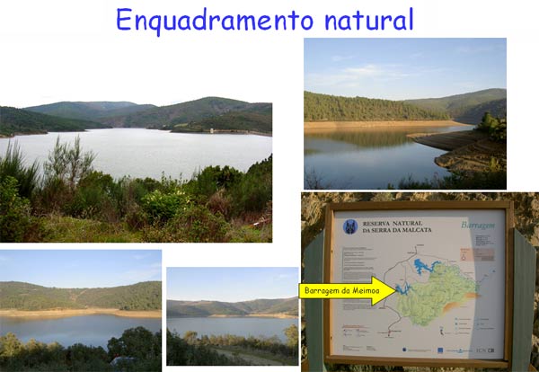 [enquadranatura1.jpg]