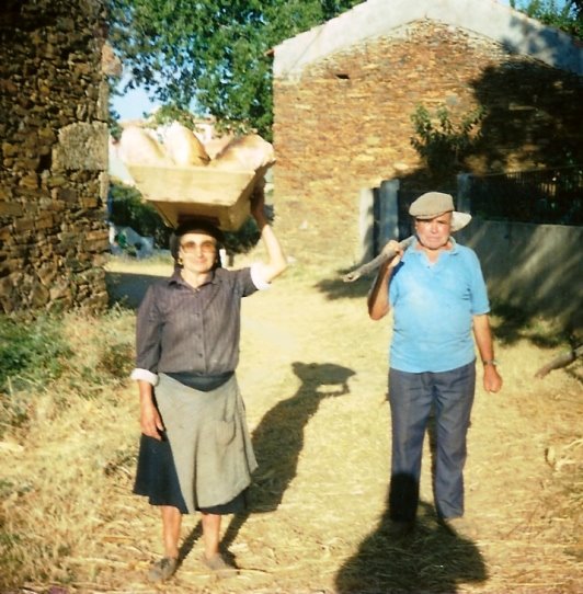 [Digitalizar0005.jpg]