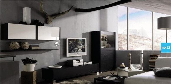 [living-room_01-582x288.jpg]