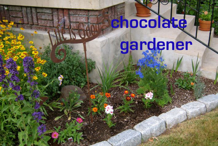 Chocolate Gardener