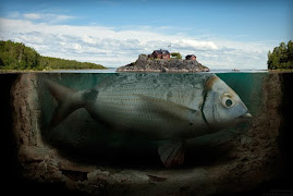 somos como el misterio de la isla