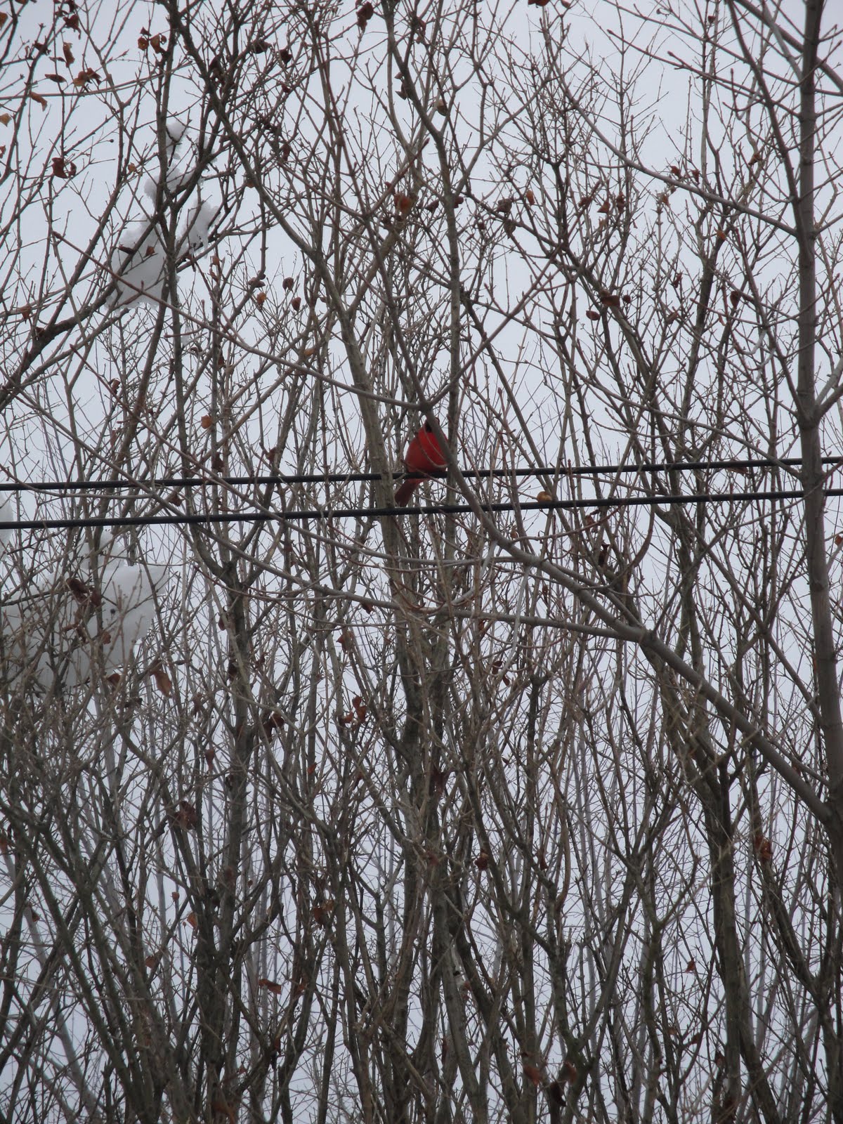 [no+internet+activities+064.JPG]