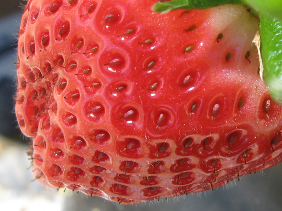 Inspiration by Deseos Design September 2010